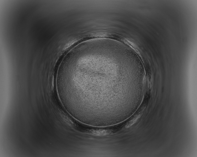 X0000085730301200703231054