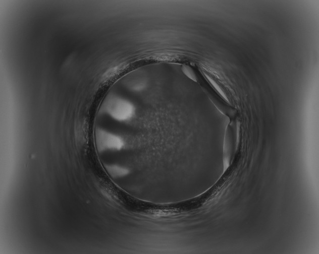 X0000085730303200703231054