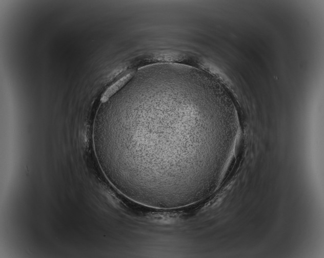 X0000085730305200703231054