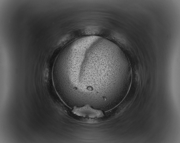 X0000085730308200703231054