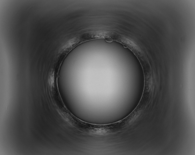 X0000085730310200703231054