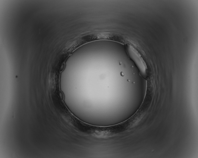 X0000085730311200703231054