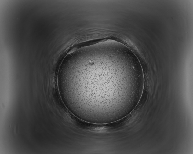 X0000085730313200703231054