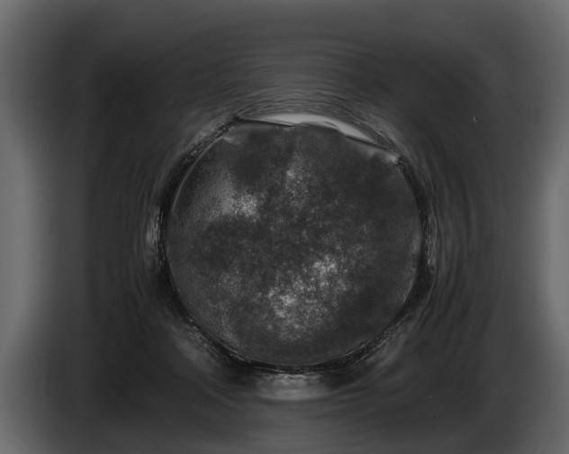 X0000085730314200703231054