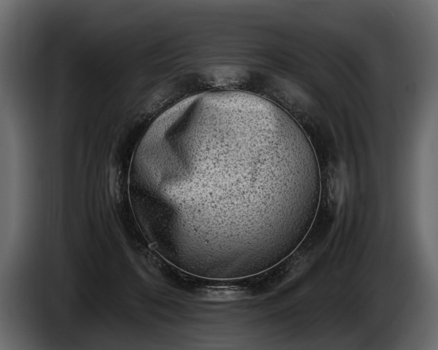 X0000085730316200703231054