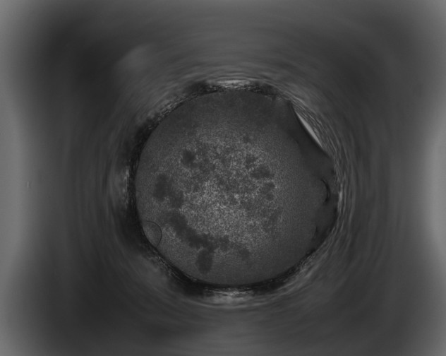 X0000085730319200703231054