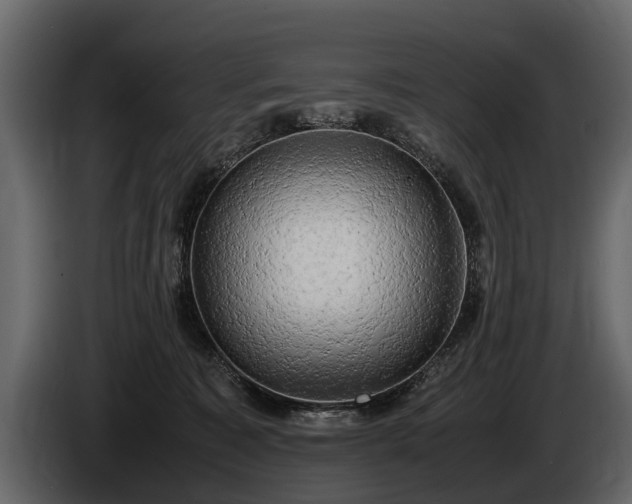 X0000085730323200703231054