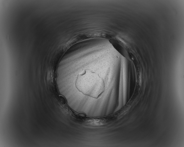 X0000085730326200703231054