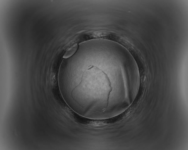 X0000085730327200703231053