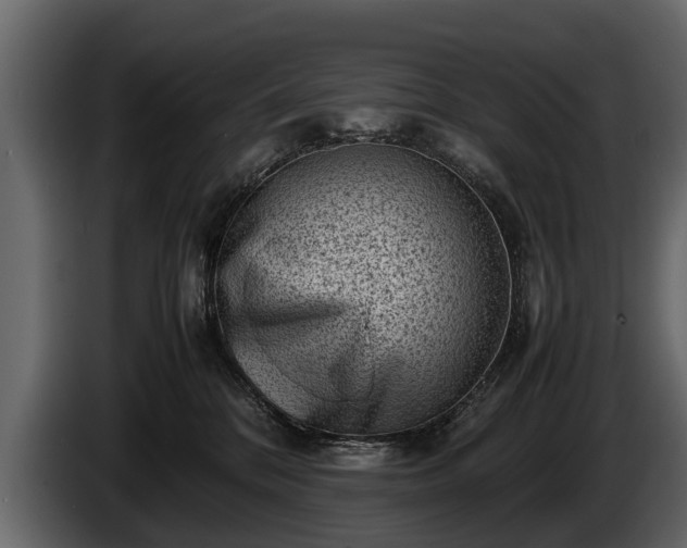 X0000085730328200703231053