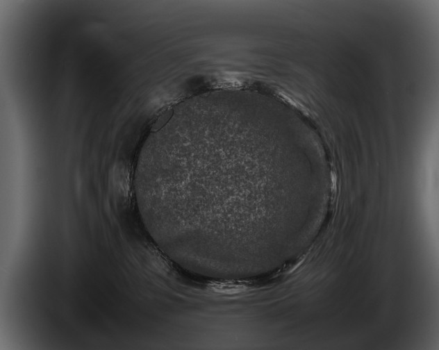 X0000085730331200703231053