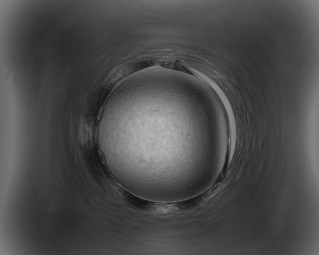 X0000085730333200703231053