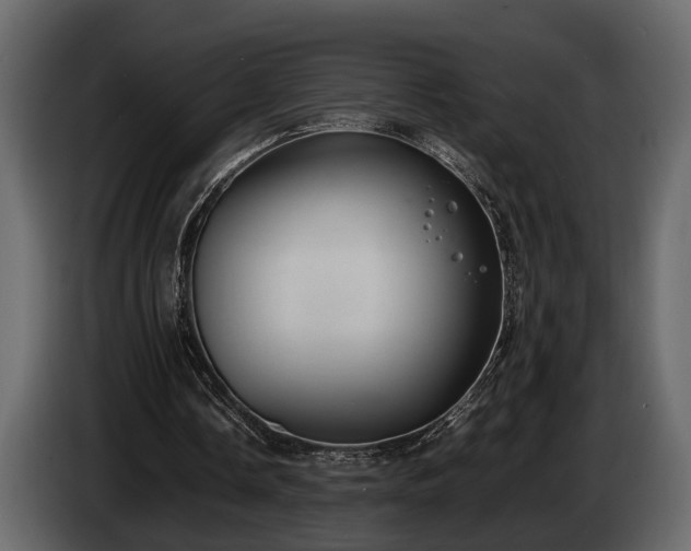 X0000085730338200703231053