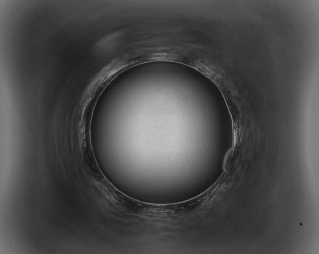 X0000085730339200703231053