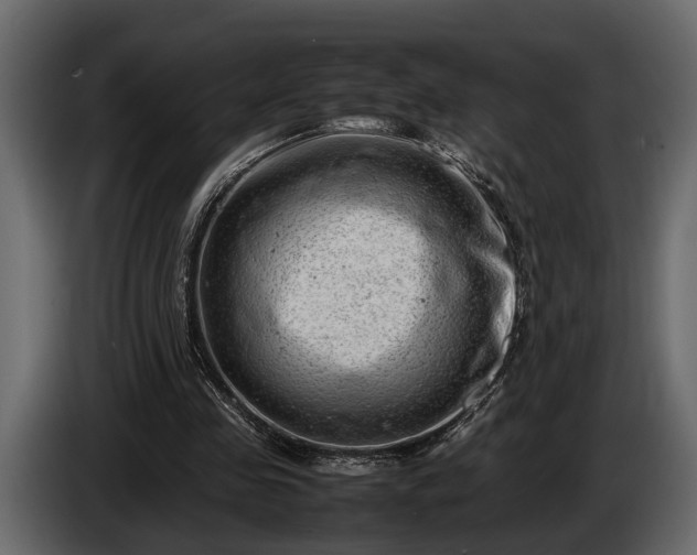 X0000085730341200703231053