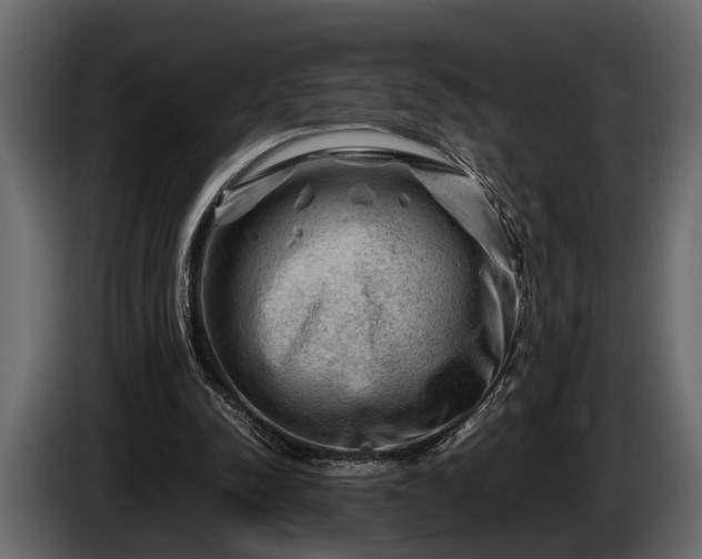 X0000085730342200703231053