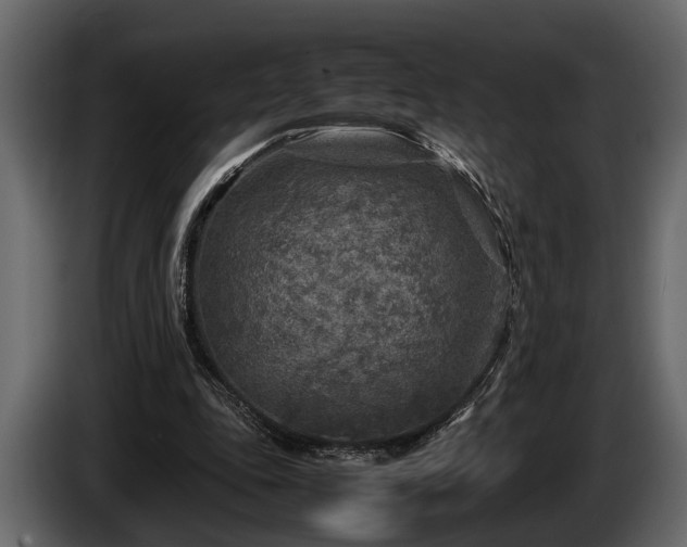 X0000085730343200703231053