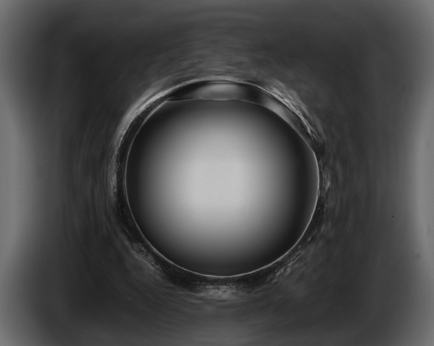 X0000085730344200703231053