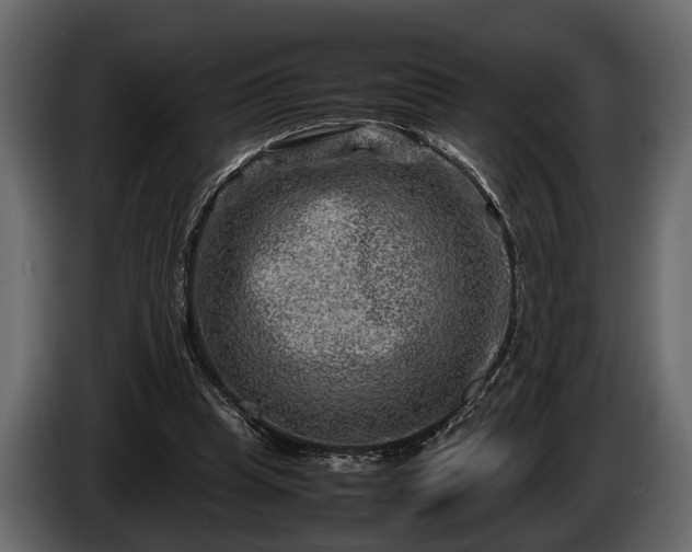 X0000085730345200703231053