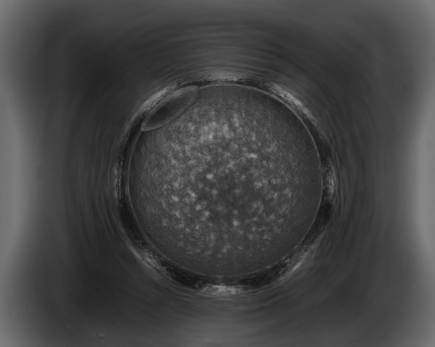 X0000085730352200703231053