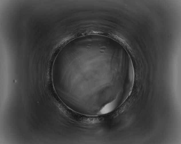 X0000085730353200703231053