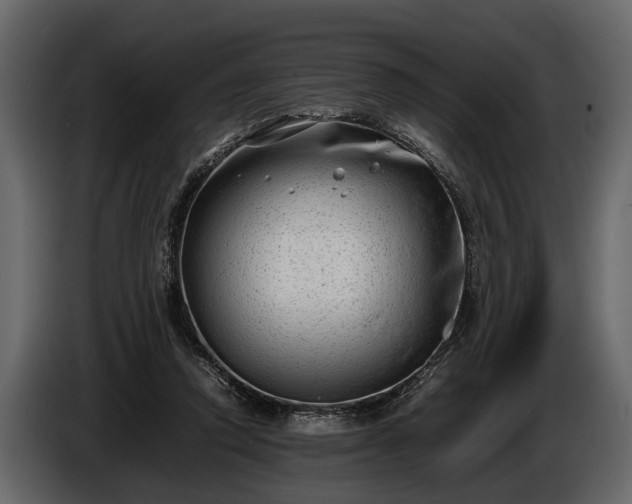 X0000085730354200703231053