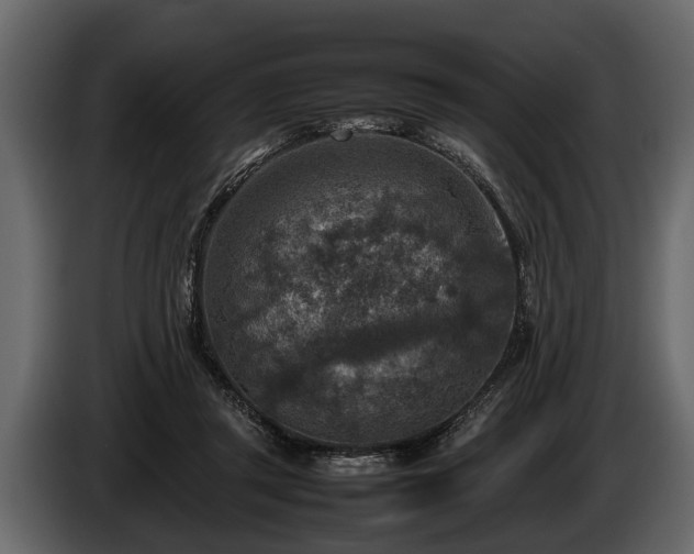 X0000085730357200703231053