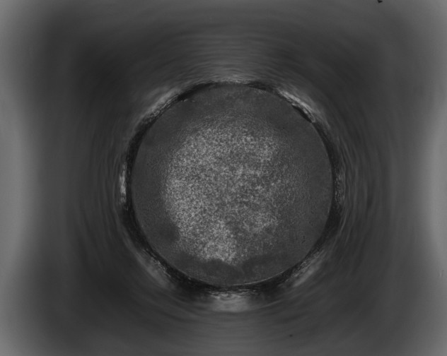 X0000085730358200703231053