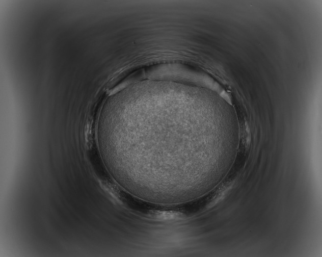 X0000085730360200703231053