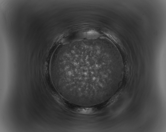 X0000085730361200703231053