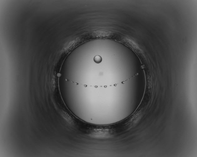 X0000085730362200703231053