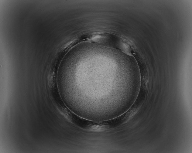 X0000085730364200703231053