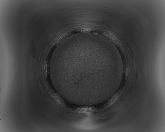 X0000085730366200703231053