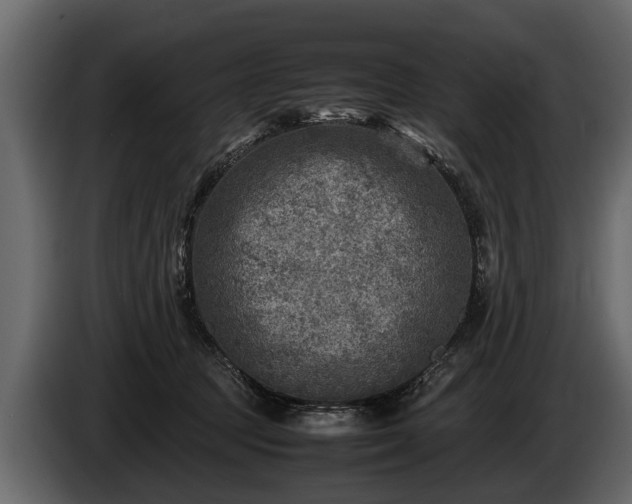 X0000085730369200703231053