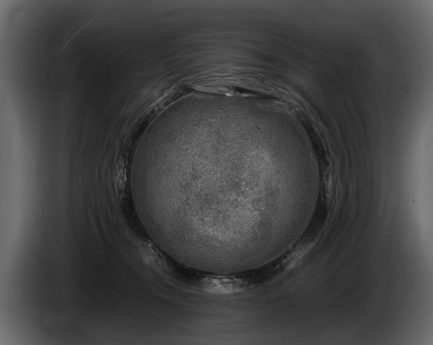 X0000085730372200703231053