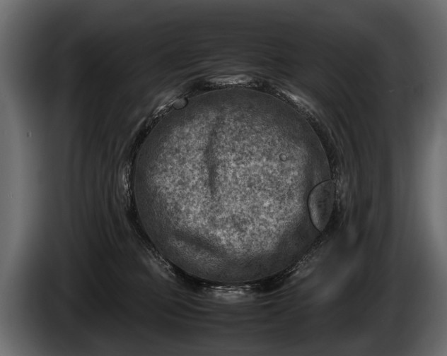 X0000085730373200703231053