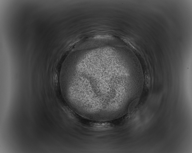 X0000085730375200703231053