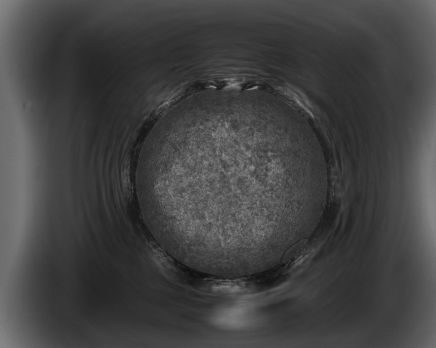 X0000085730377200703231053