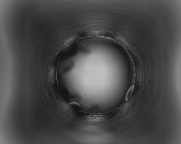 X0000085730378200703231053