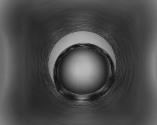 X0000085730380200703231053