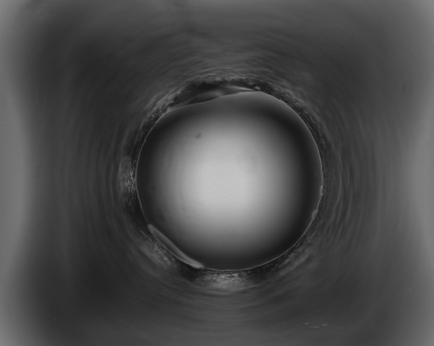 X0000085730384200703231053