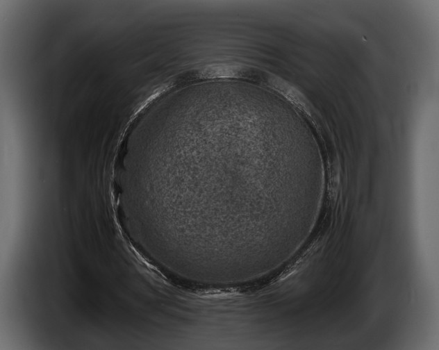 X0000085730386200703231053