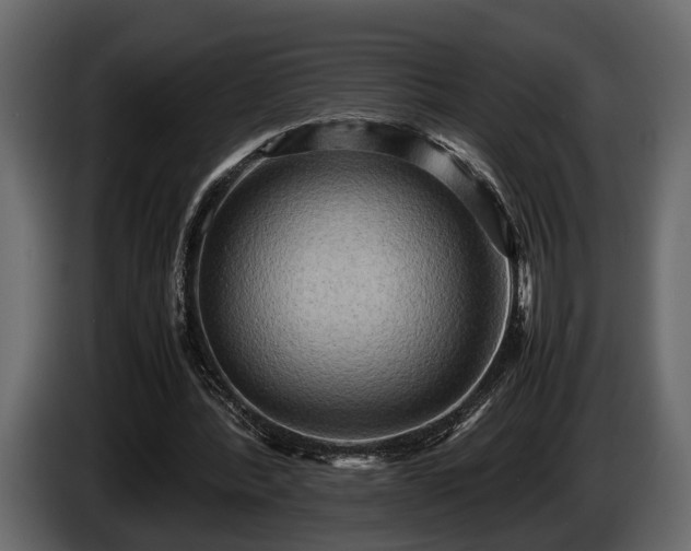 X0000085730388200703231053