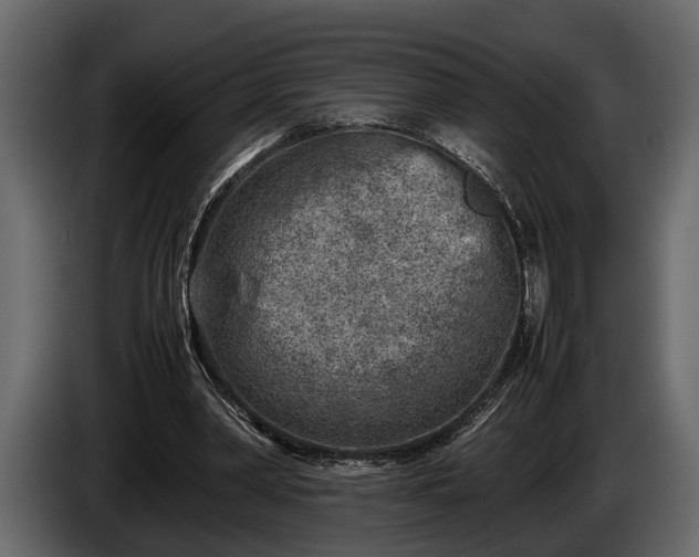 X0000085730390200703231053