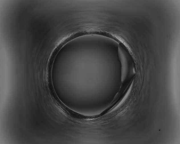 X0000085730391200703231053