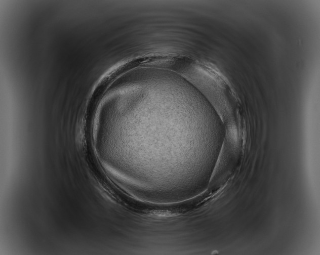 X0000085730392200703231053