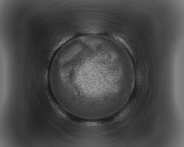 X0000085730394200703231053