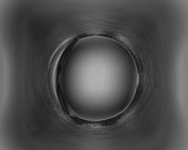 X0000085730395200703231053