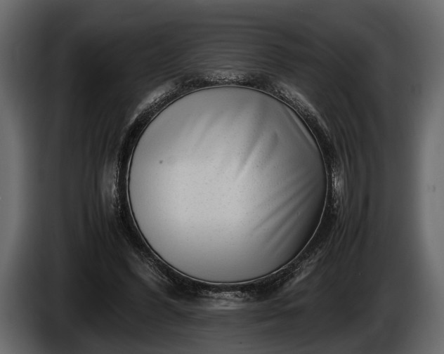 X0000085730396200703231053