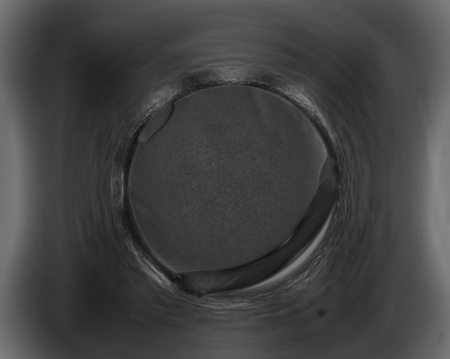 X0000085730397200703231053